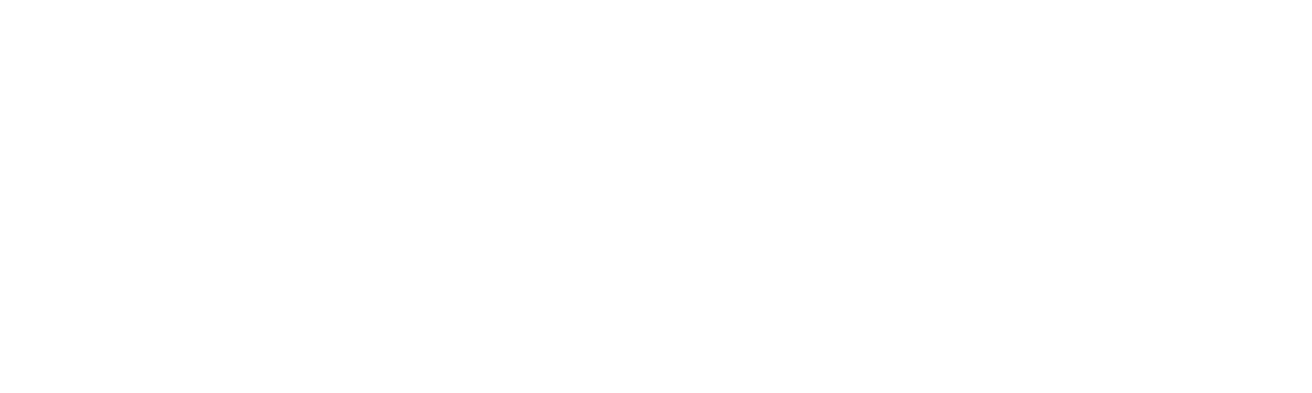 CVSoft